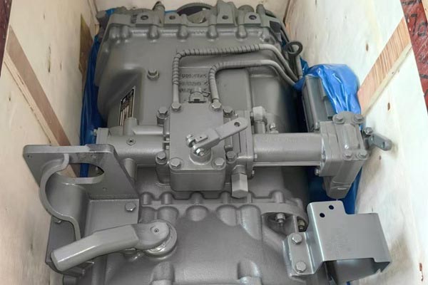 Quot genera salsissimus vir vivens transmissiones sunt?