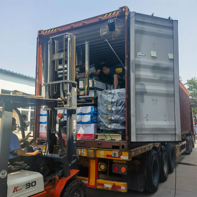 SKYOND Gravis Truck Parts – Coegi Securus, ubique creditus!